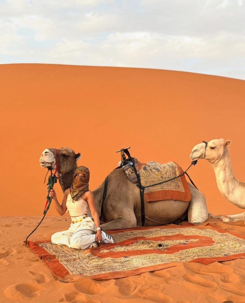 WhatsApp Image 2026 03 14 at 20.28.01